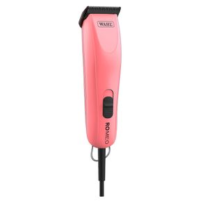 standard_resolution---2025-07-15T091327.661